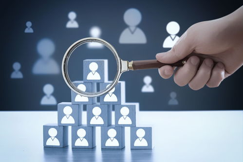 織密就業(yè)服務(wù)網(wǎng)絡(luò) 架穩(wěn)企業(yè)引才發(fā)展橋——西海岸新區(qū)網(wǎng)絡(luò)技術(shù)服務(wù)助力人才就業(yè)