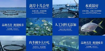 三海魚水產養殖品牌策劃與市場營銷案例分析